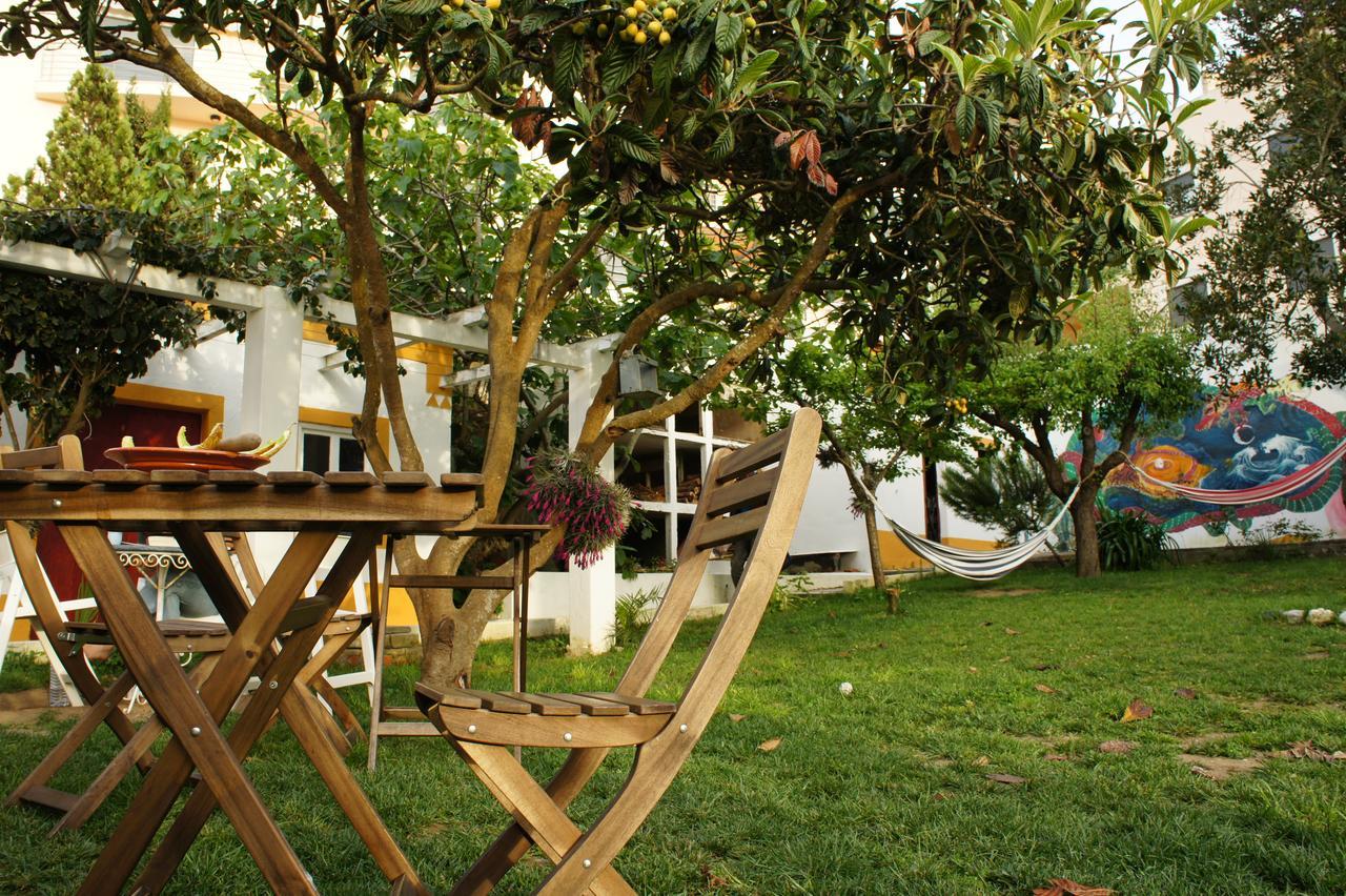 Auberge de jeunesse Olive3